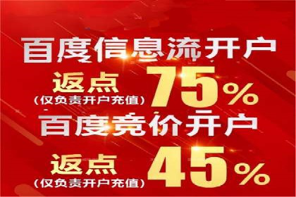 搜索开户返点揭秘：成功案例教你快速赚钱